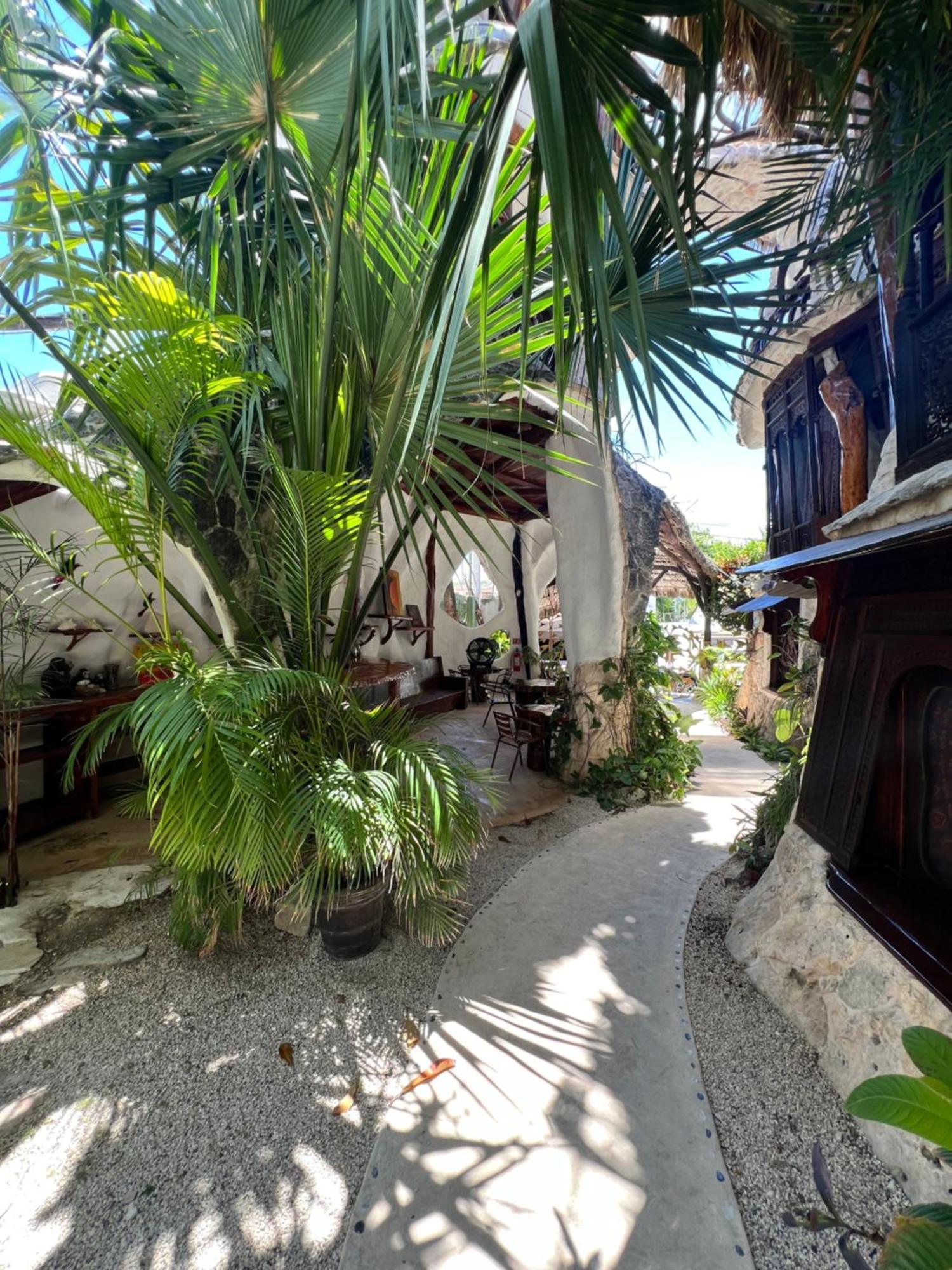 Bed and Breakfast La Quinta Orquidea Puerto Morelos Exterior foto