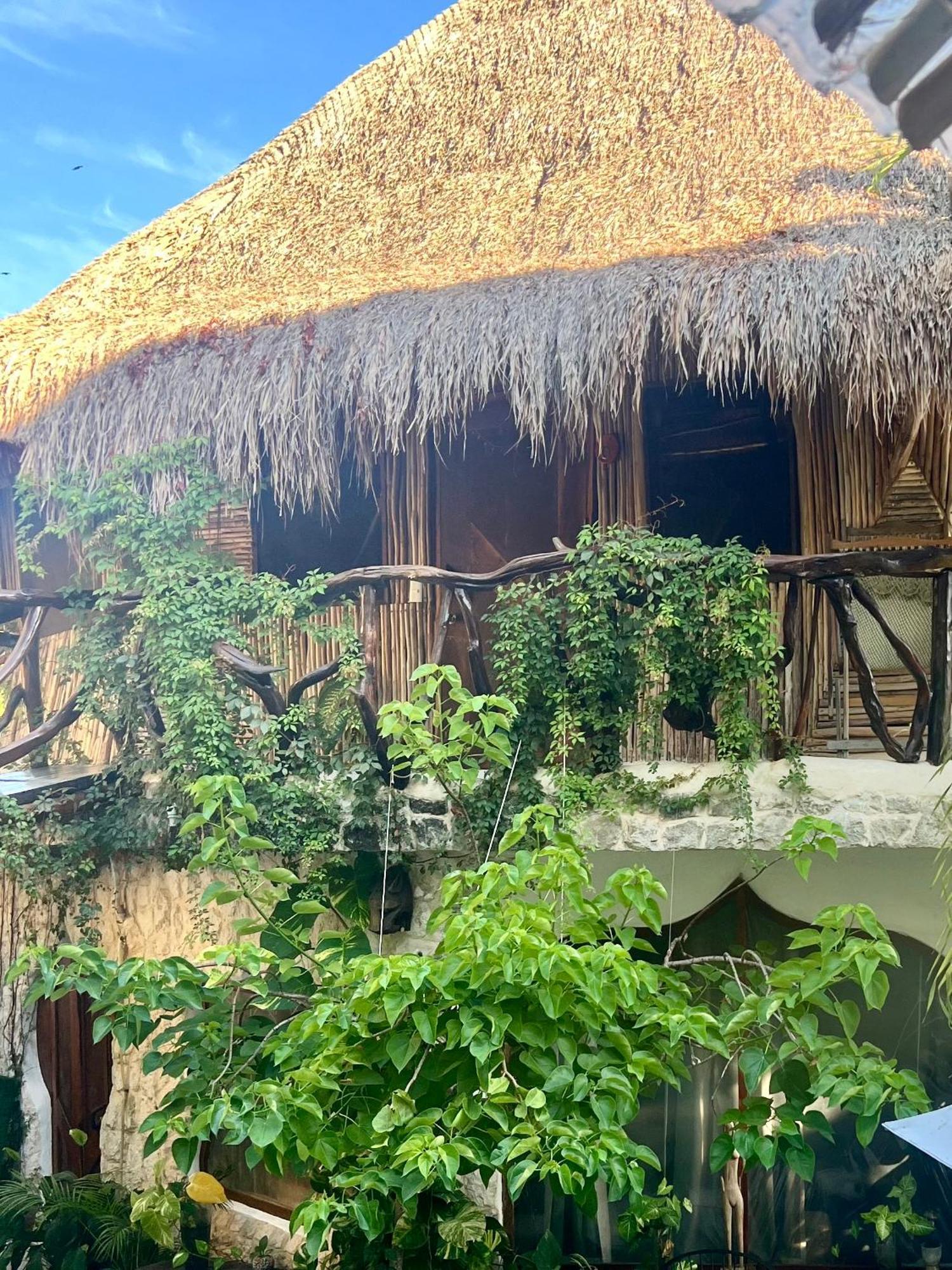 Bed and Breakfast La Quinta Orquidea Puerto Morelos Exterior foto