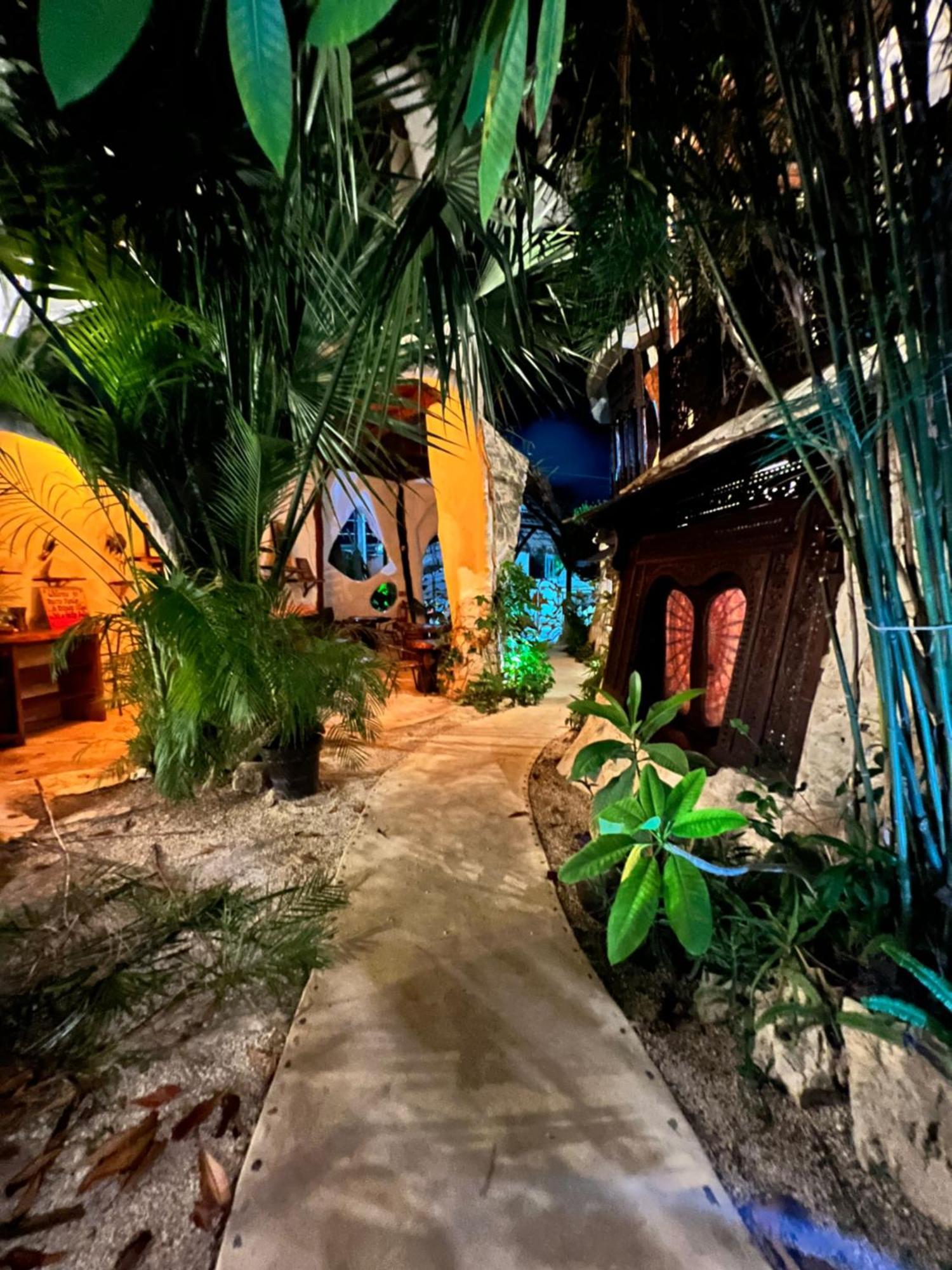 Bed and Breakfast La Quinta Orquidea Puerto Morelos Exterior foto