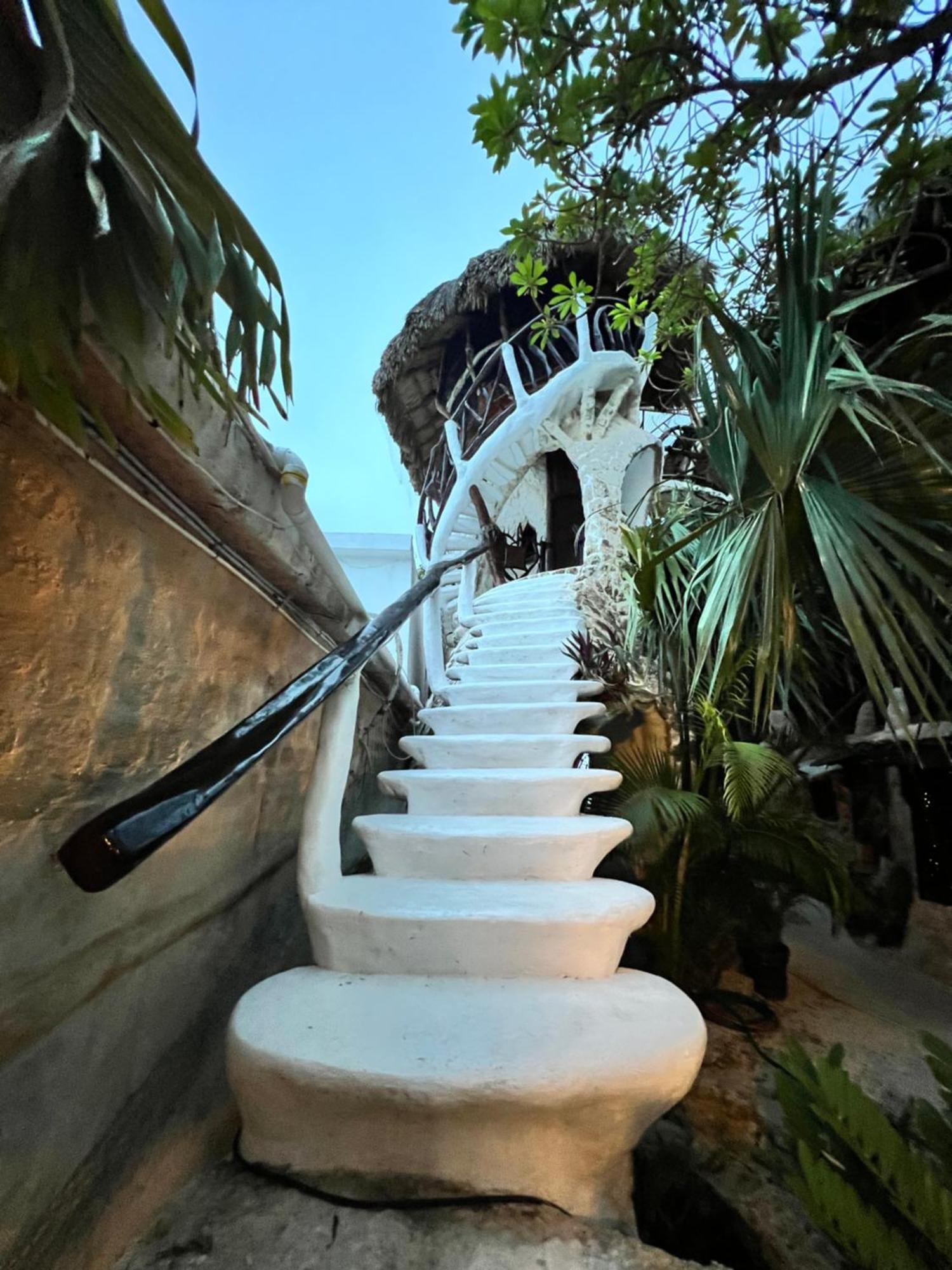 Bed and Breakfast La Quinta Orquidea Puerto Morelos Exterior foto