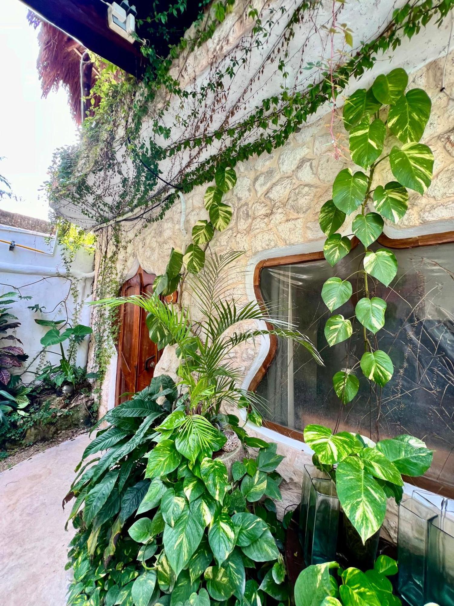 Bed and Breakfast La Quinta Orquidea Puerto Morelos Exterior foto