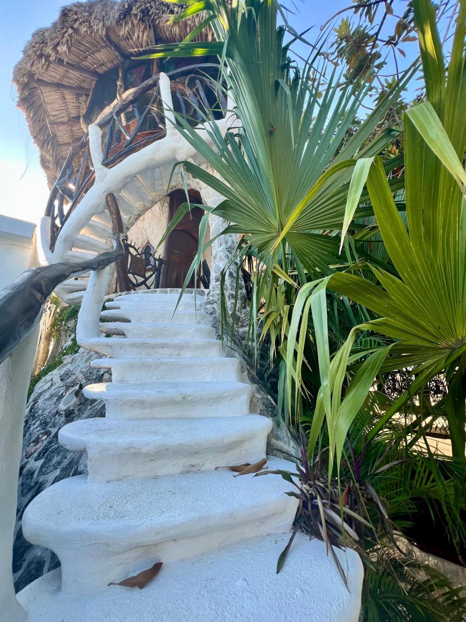Bed and Breakfast La Quinta Orquidea Puerto Morelos Exterior foto