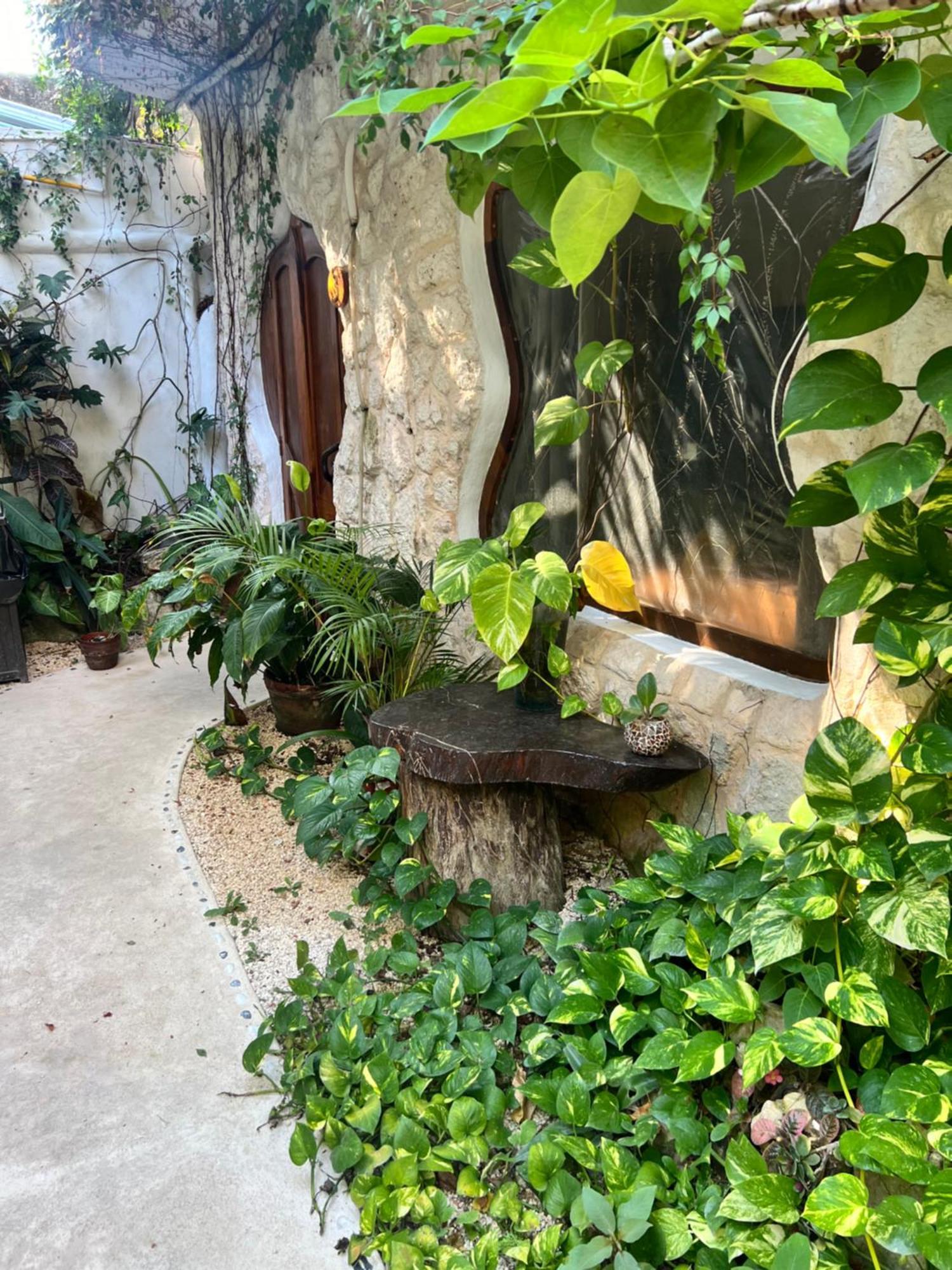 Bed and Breakfast La Quinta Orquidea Puerto Morelos Exterior foto